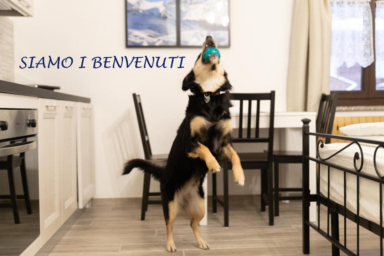 Apartment Il Nocciolino *
